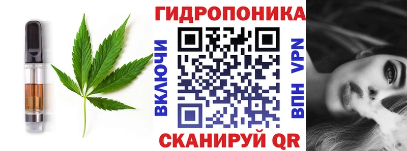 мега вход  Мышкин  Cannafood конопля 