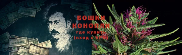 сатива Балабаново