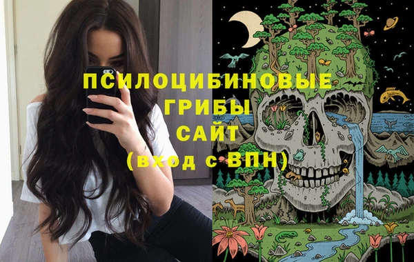 сатива Балабаново
