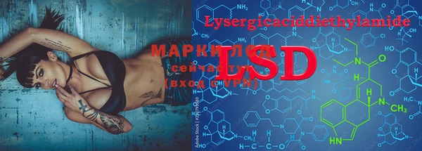 PSILOCYBIN Алзамай