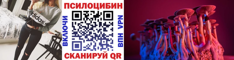 shop клад  как найти закладки  Мышкин  Галлюциногенные грибы GOLDEN TEACHER 