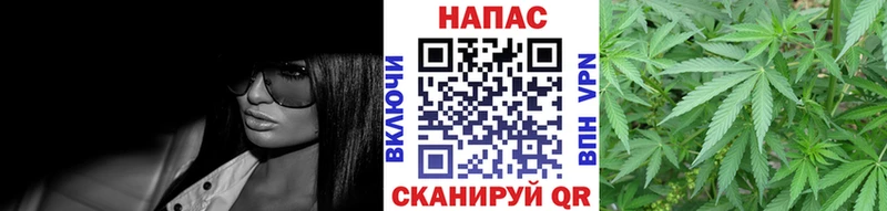 дарнет шоп  Мышкин  Каннабис семена 